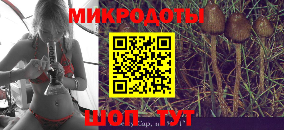Псилоцибиновые грибы GOLDEN TEACHER  Вход с VPN  Партизанск 
